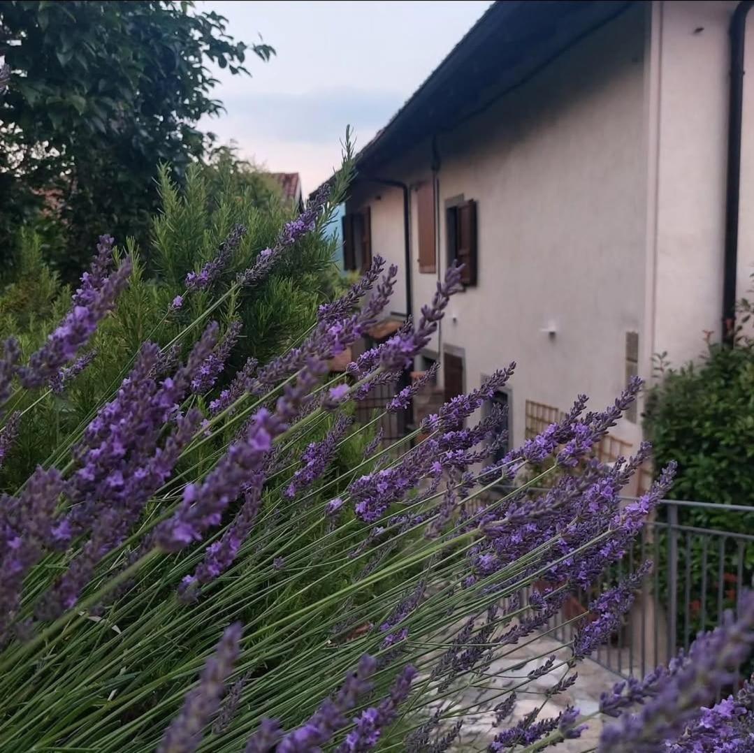 Apartamento Il Giardino Di Berbech Citta Alta - Castagno Bérgamo Exterior foto